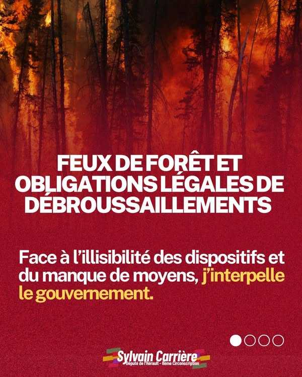 Feux de forêts